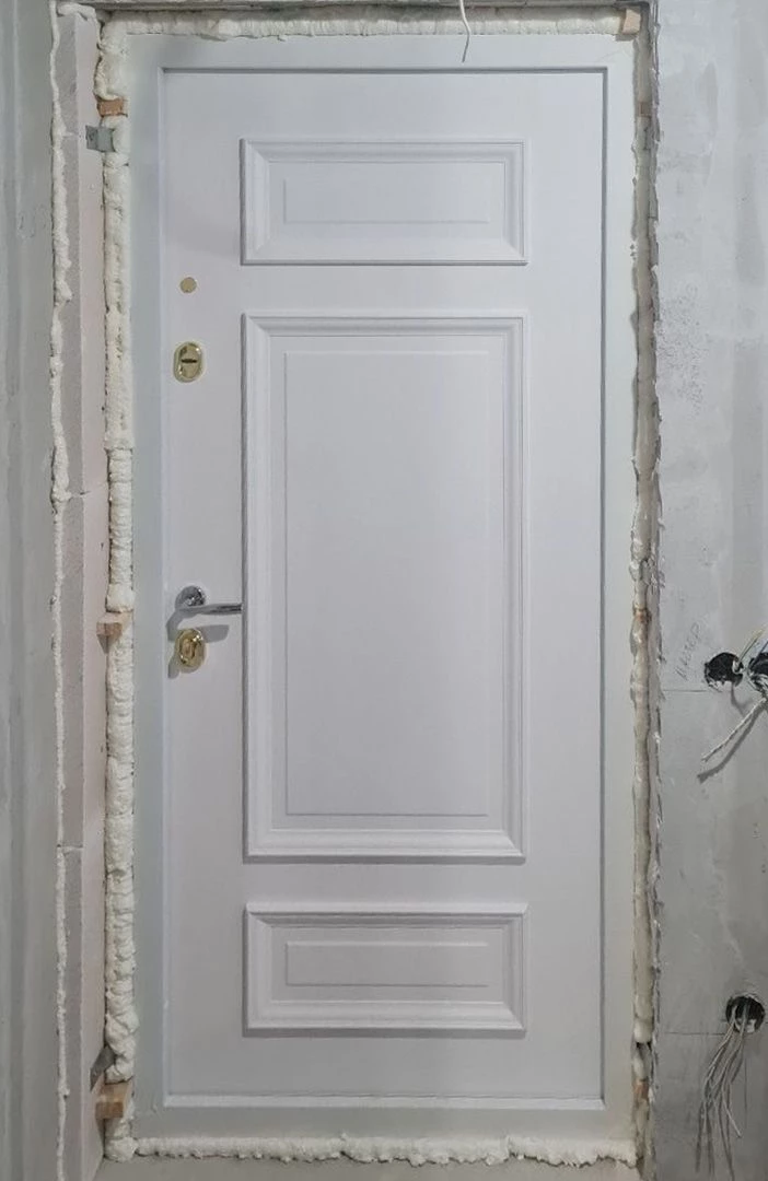 Входная дверь в квартиру 852АР1 вид изнутри