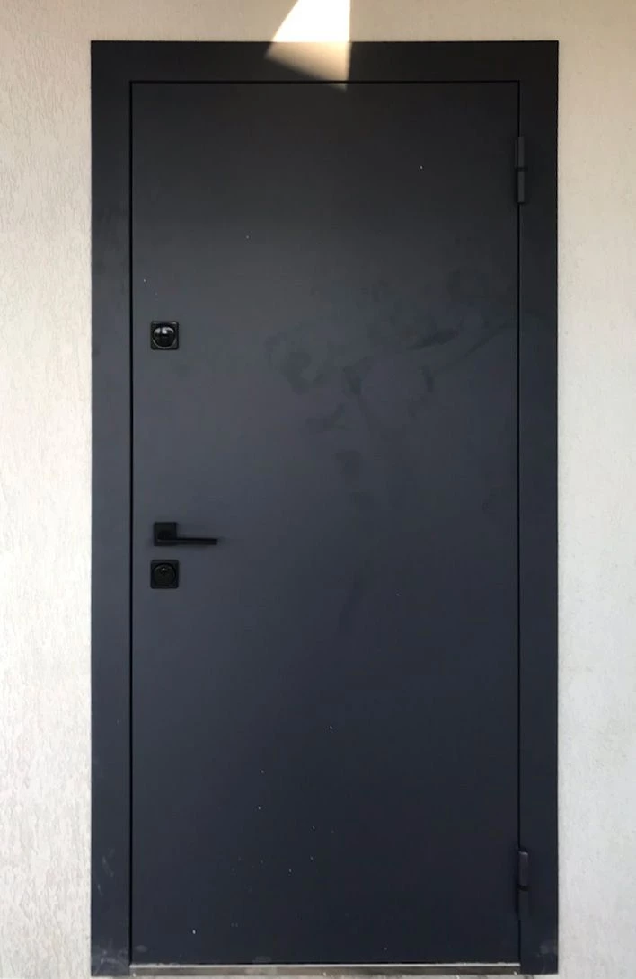 Входная дверь в частный дом 10АР3 вид снаружи